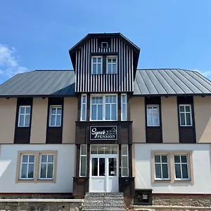 Aparthotel Synek Pension